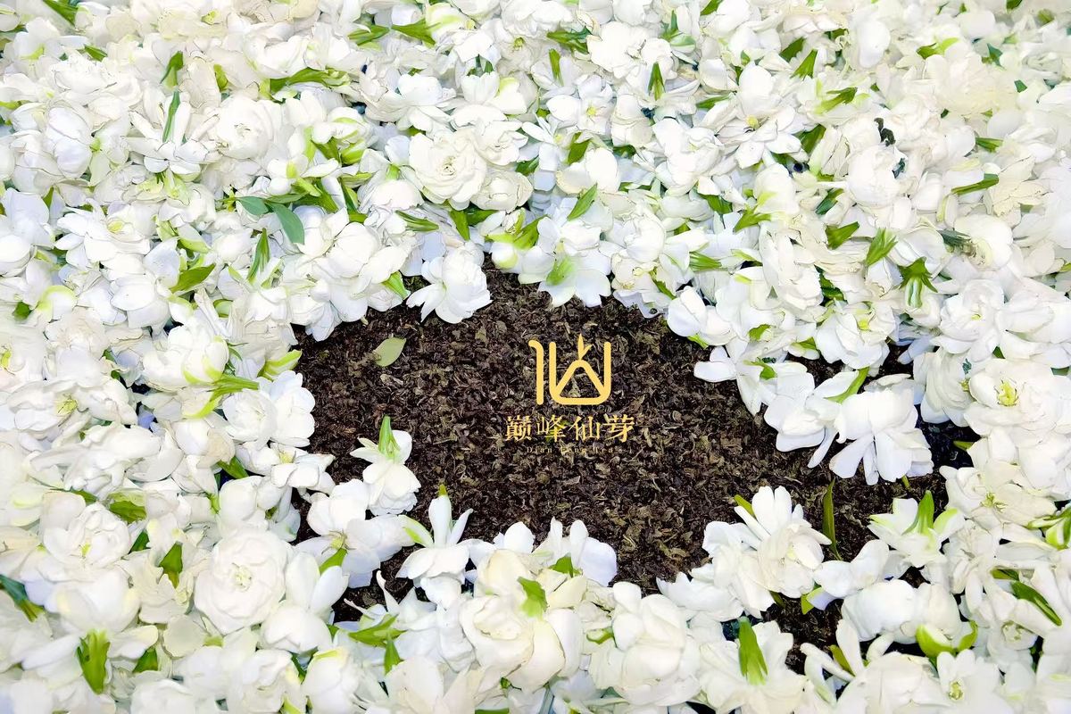 Jasmine flowers and tea base